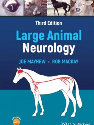 Large Animal Neurology