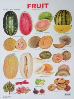 FRUIT CHART-4 (SET OF 6)
