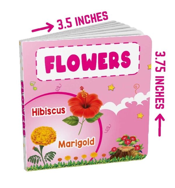 MY TINY BOARD BOOKS: FLOWERS