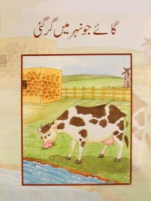 BSSR- GAEY JO NEHER MEIN GIR GAEE CLASS 2 BOOK 7 (pb)