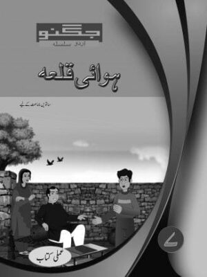 HAWAI QILA (JUGNOO) AMLI - 7