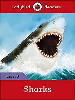 L-3 SHARKS (pb)