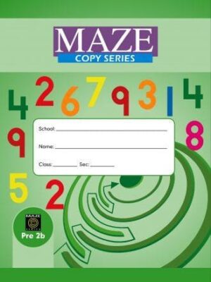 MAZE COPY SERIES - 2B