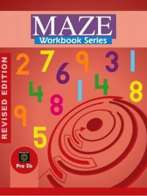 MAZE WORK BOOK SERIES - 3B